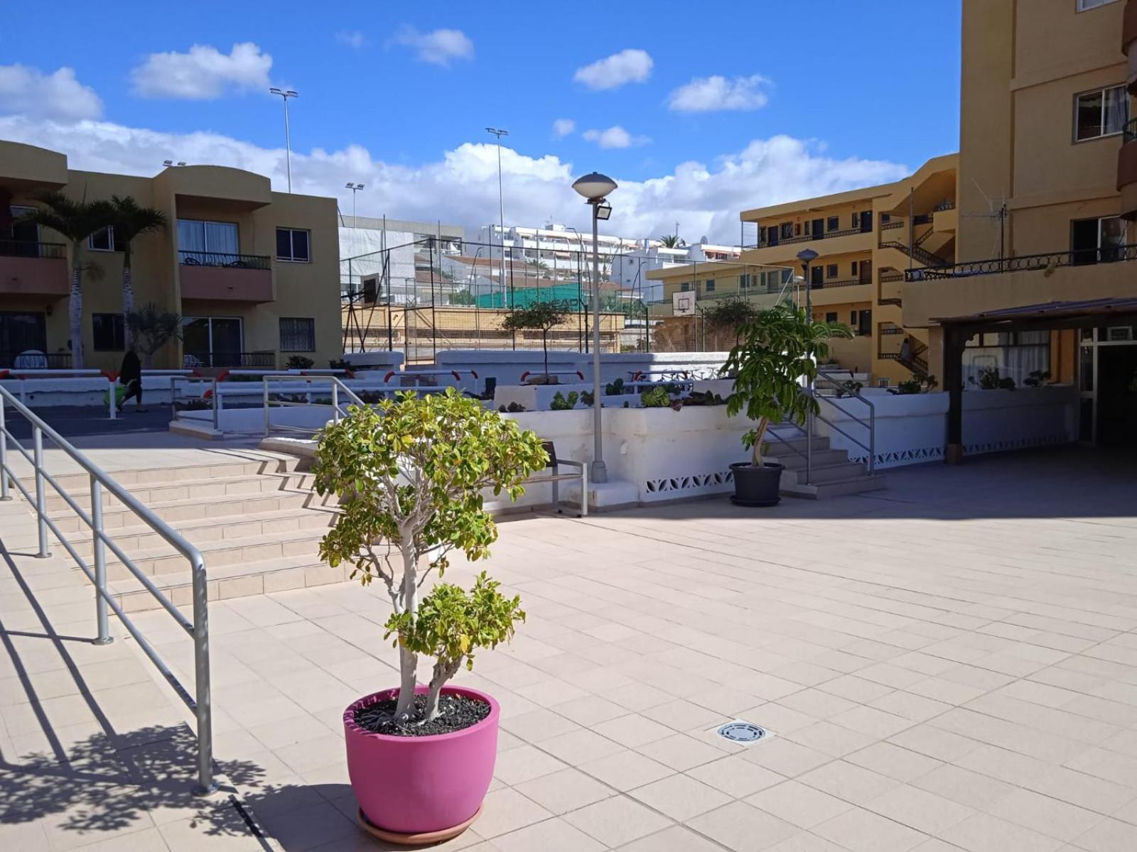 Firstline Apartment Los Cristianos Арона Екстер'єр фото